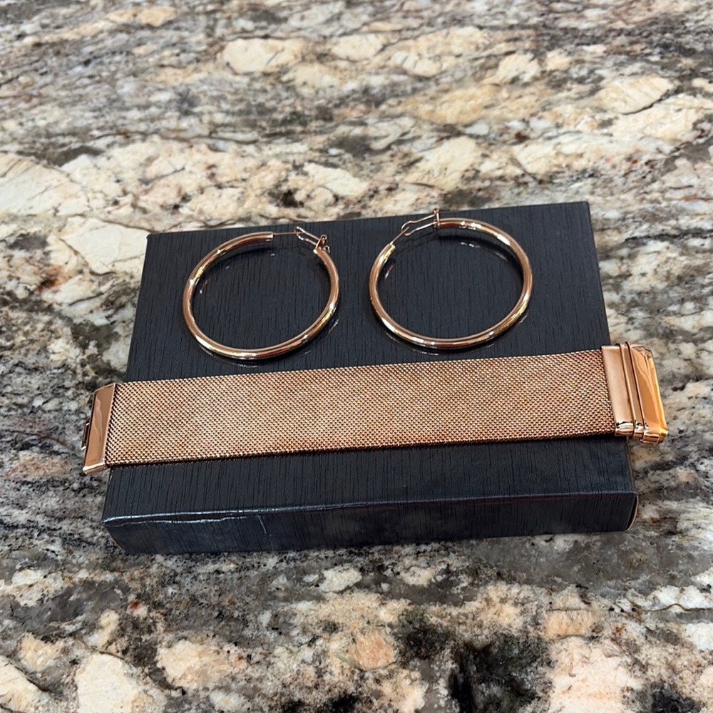 NWT Bronzo Italia Mesh Bracelet & Earring Set